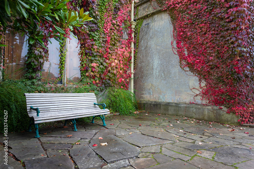 Westerners tend to grow vines on the walls of buildings, which help reduce heat and provide ecological benefits as well as beauty to the building