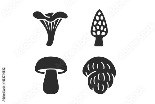 Set of Solid Edible Wild Mushroom Icons, Chanterelle, Morel, Porcini, Lion’s Mane, Culinary Forest Fungi Vector, Gourmet Foraging, Black Silhouette, Organic Food Illustration