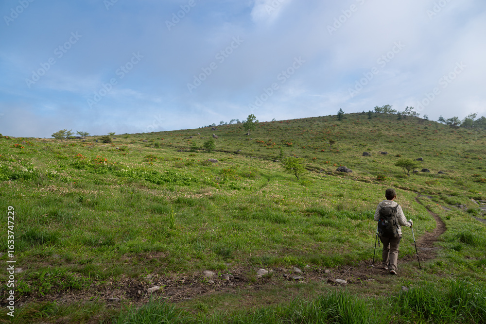 Naklejka premium 爽やかな朝の高原 霧ヶ峰