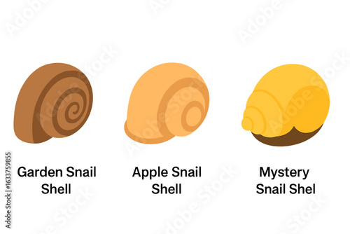 Garden Snail Shell, Apple Snail Shell, Mystery Snail Shell Isometric Vector Set. Flat Gastropod Mollusk Shells Collection. Nature Icon Pack for Education, Biology, Wildlife, Science, Aquarium.