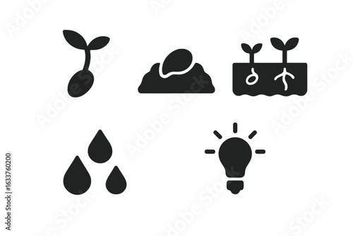Seed germination icons set. Growth stages, sprout emerging from soil, seedling with roots, water drops, sunlight for plant growth. Solid black silhouette vector, agriculture, biology, gardening.