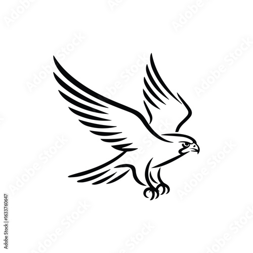 Black hawk in flight with spread wings and talons falcon bird