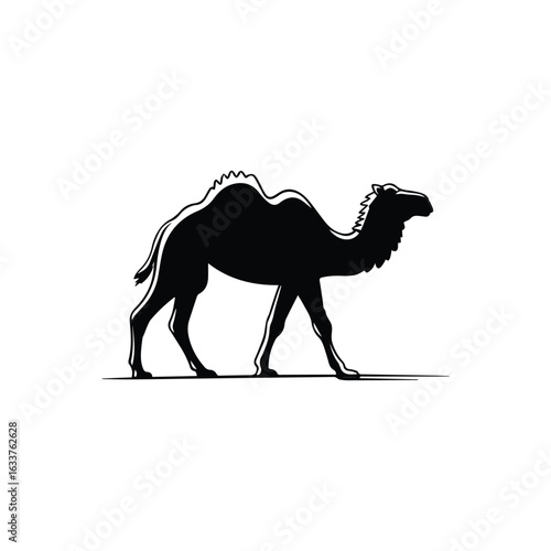 Black silhouette of a walking camel with a single hump dromedary animal