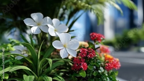 Close up of flowers and plants with city buildings in the background on a sunny day showcasing greenery