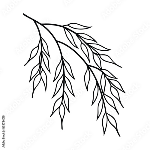 Minimalist outline of a delicate willow tree branch with elegant simplicity and natural beauty