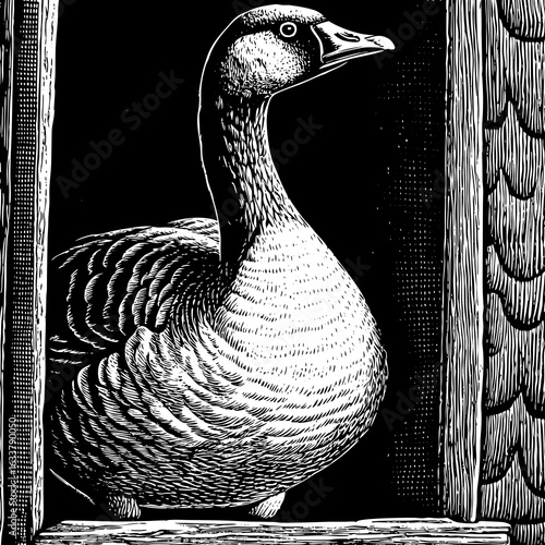 Classic black and white engraving of a goose standing beside a wooden wall, emphasizing farmyard life and detailed feather texture.
