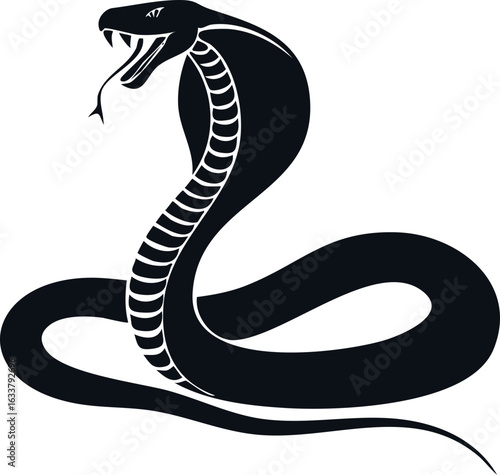 Cobra Snake – Aggressive Reptile in Striking Pose