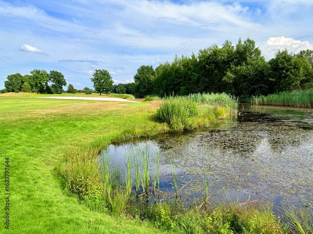 Fototapeta premium vivid pond reflection on the golf course