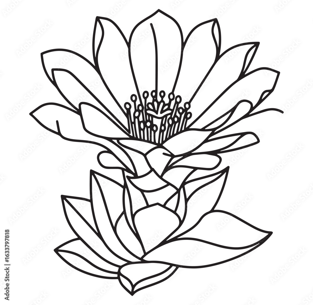 Obraz premium Two blooming lotus flowers in black and white outlines suitable for various design projects