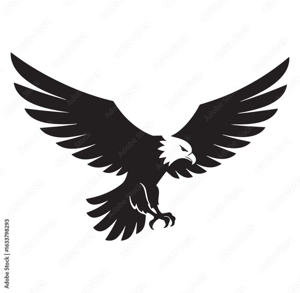 Fototapeta premium Elegant black and white eagle spreading wings flying isolated on white background