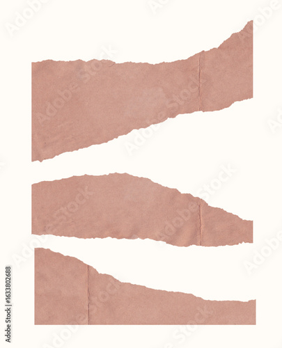 collection set of torn paper