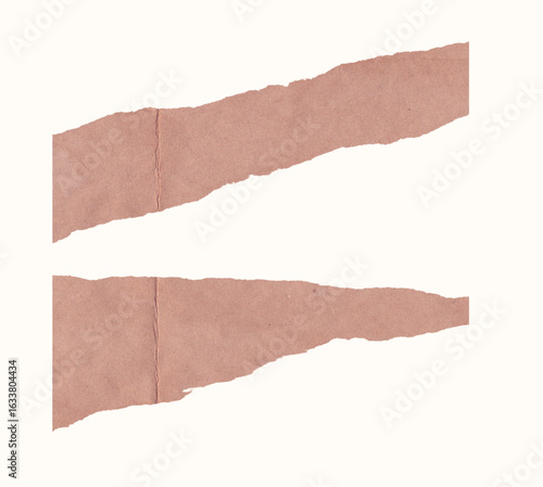 collection set of torn paper