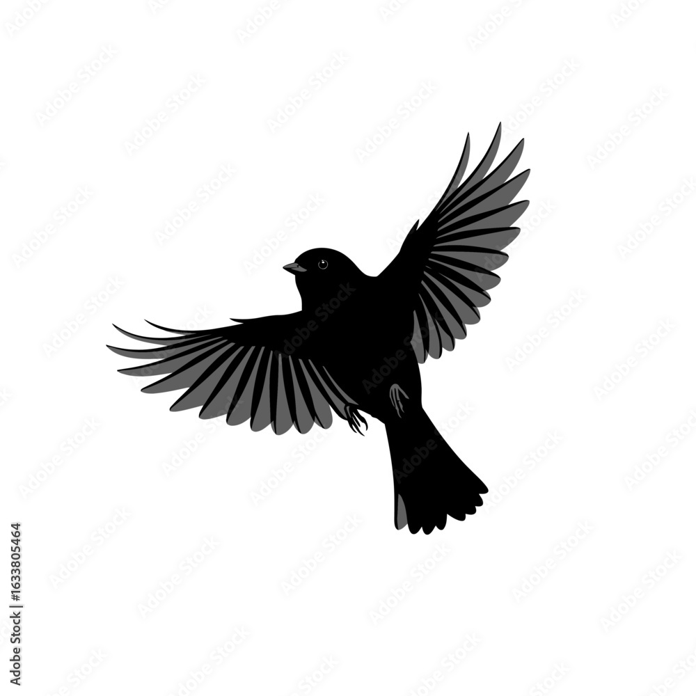 Obraz premium Silhouette of a Bird in Mid-Flight with Wings Fully Spread on White Background