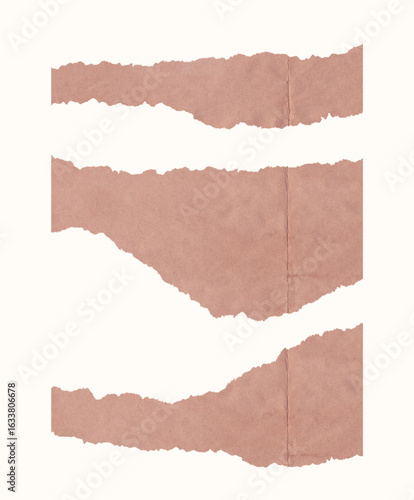 collection set of torn paper