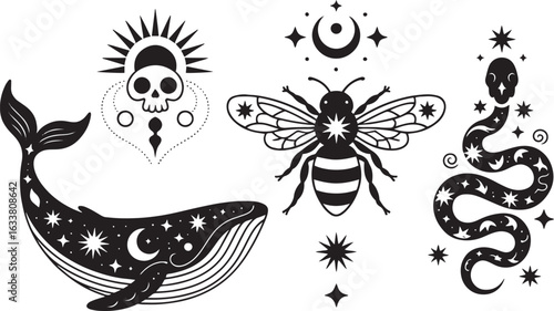 Mystical halloween bundle - celestial snake, skull, whale and bee, moon and stars isolated cliparts, space esoteric stuff, serpent, skeleton, insect black and white outline vector illustration