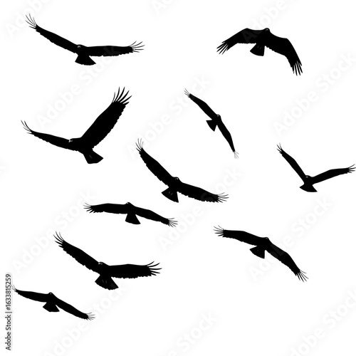 Elegant black silhouette of a flying dove or pigeon. A simple graphic symbol representing peace, freedom, and hope.