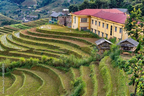 Sapa rice terraces and traditional vietnamese architecture