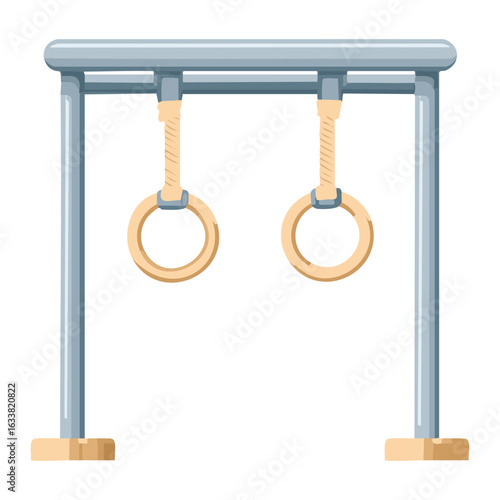 Professional Gymnastic Rings for Workout