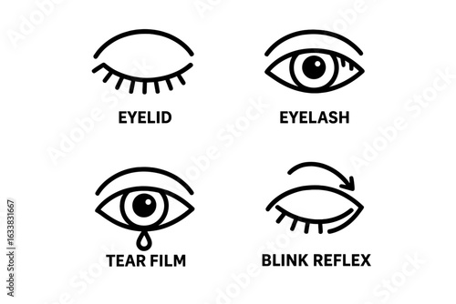 Ocular protection icons set. Outline vector illustration of eye defense mechanisms including eyelid, eyelash, tear film, blink reflex. Eye anatomy, vision care, ophthalmology, medical symbols