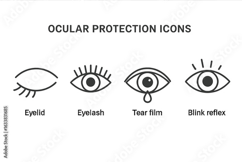 Ocular protection vector icons set. Eye safety illustration with eyelid, eyelash, tear film, blinking reflex symbols. Vision care, eye health defense. Medical ophthalmology graphic. Minimal design