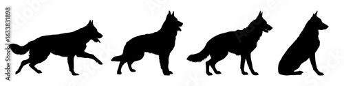German shepherd silhouette set in various poses vector illustration