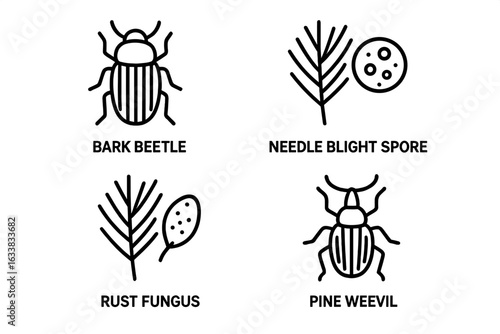 Pine tree pest and disease outline icon set. Bark beetle, pine weevil, needle blight spore, rust fungus vector illustration. Forestry pests, insect and fungus threats, tree health risk symbols.