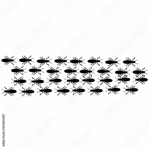 Vector illustration of a termite colony moving in neat rows, moving in two different directions, on a white background. Wood eating animals.