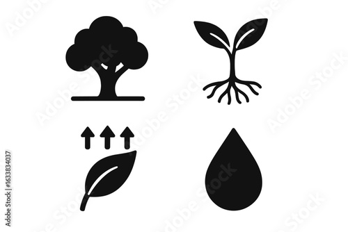 Solid Filled Plant Water Cycle Icons Set. Tree Canopy, Seedling Roots, Leaf Transpiration, Dew Water Drop. Plant Growth, Botany, Photosynthesis, Ecological Process Symbols. Vector Illustration