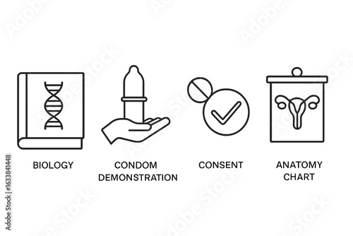 Sexual Education Line Icons Set. Biology Book, Condom Demonstration, Consent Checkmark, Human Anatomy Chart. Sex Education Elements, Classroom, Reproductive Health, Safe Sex Vector Illustration