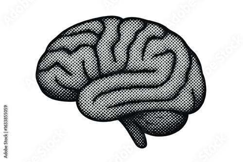 Halftone human brain vector illustration. Retro brains engraving. Pop art brain graphic. Neuroscience, psychology, mental health, intelligence, memory, mind, anatomy, education, thinking.