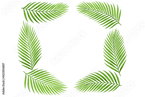 Tropical palm leaves frame for greeting card, botanical border design, summer foliage pattern, lush jungle greenery, green leaf corner arrangement, isolated vector illustration, blank background