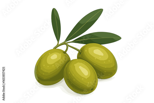 Realistic green olives with leaves vector illustration. Fresh Mediterranean olive branch isolated on white. Natural organic food concept. Healthy snack product icon. Fruit harvest design element