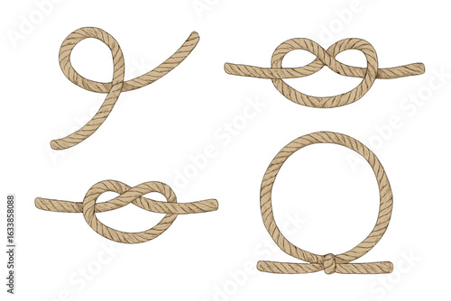 Set of 4 detailed hand-drawn rope knot vector illustrations, vintage sailing rope shapes, nautical loop, tie, and bow; isolated on transparent background; marine cord design elements