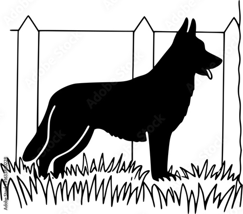 black and white dog