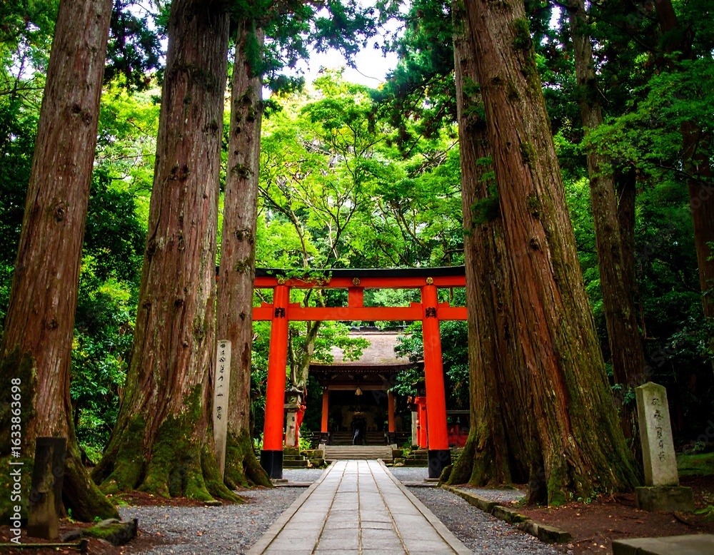 Obraz premium Sacred Japanese forest path