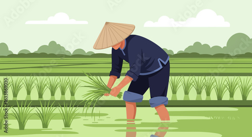 Asian Farmer Cultivating Rice Field With Traditional Hat And Green Landscape