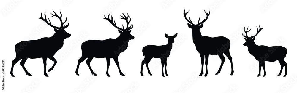 Fototapeta premium Deer silhouette vector illustration wildlife animal herd forest creature graphic