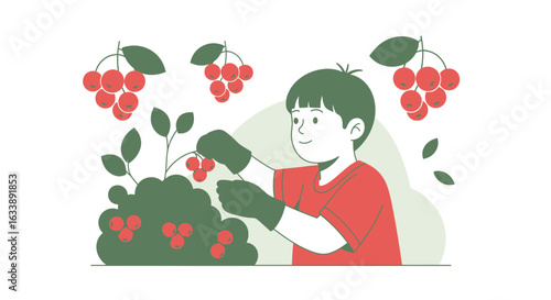 Happy Youngster Harvesting Fresh Red Currants From Garden Plant Bush