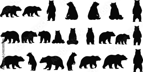 Bear silhouette bundle for wildlife designs and nature themes