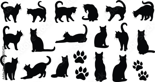 Elegant cats poses silhouettes animals pet cute feline design