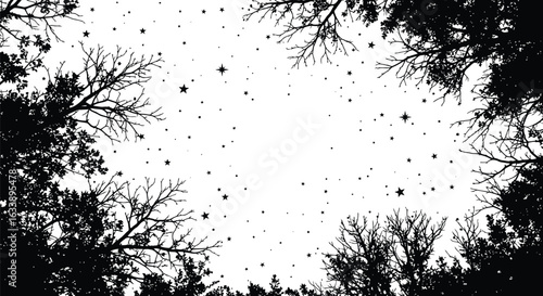 Silhouetted trees and stars, a celestial canopy, dreamy night scene