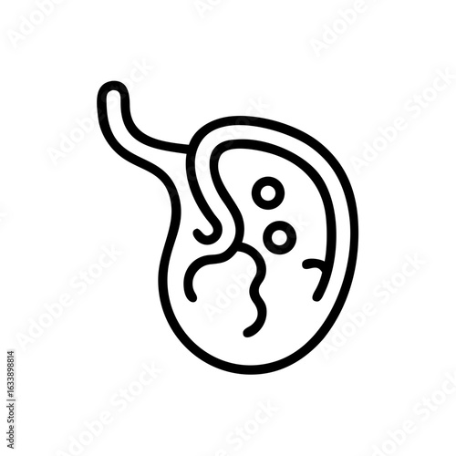 Placenta icon in minimalist line art presents vital organ for fetal nourishment during pregnancy. Placenta icon also represents essential connection between mother and baby.