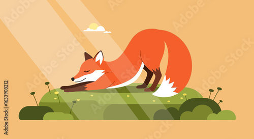 Meditative Fox Stretching On Sunny Meadow Early Morning Vector Illustration