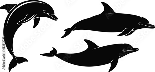 Silhouette of dolphins, marine life illustration, ocean wildlife, sea creatures, aquatic animals, nature art, underwater design, swimming, vector, graceful