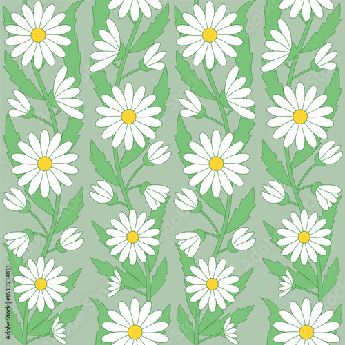 Seamless pattern of daisy garlands. White chamomiles on a light green background. Floral vector illustration.