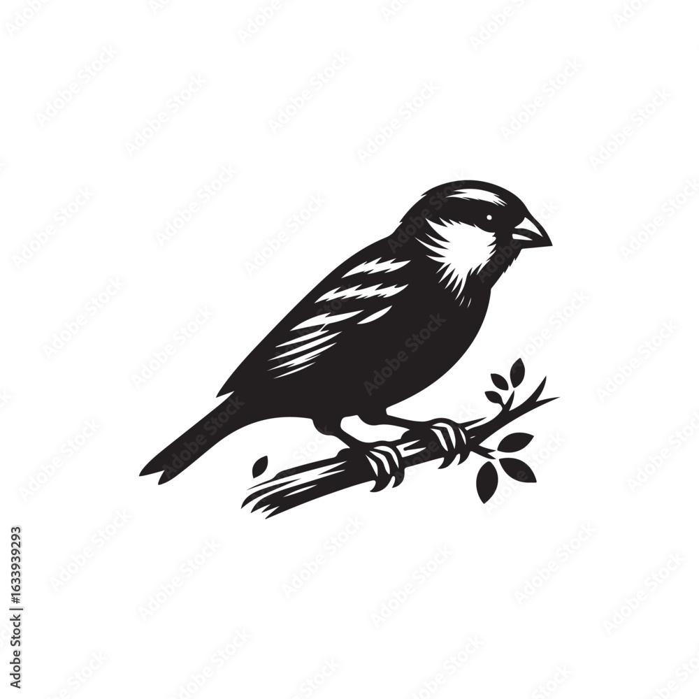 Fototapeta premium Sparrow Vector (2).eps