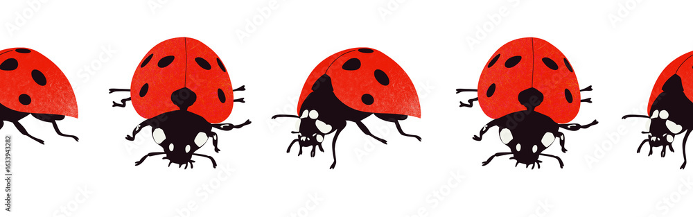 Fototapeta premium Ladybug icon border. Ladybug silhouette symbol. Ladybug border isolated on white background