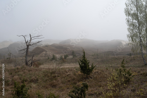 Fotografi Curonian Spit, Lithuania