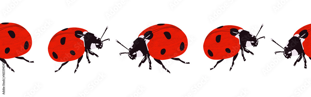 Fototapeta premium Ladybug icon border. Ladybug silhouette symbol. Ladybug border isolated on white background