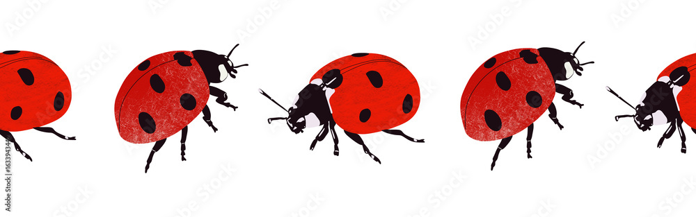 Fototapeta premium Ladybug icon border. Ladybug silhouette symbol. Ladybug border isolated on white background